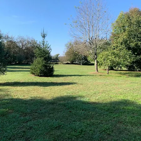 Beautiful Big With Swimming Pool And Nature Grounds Holiday home *